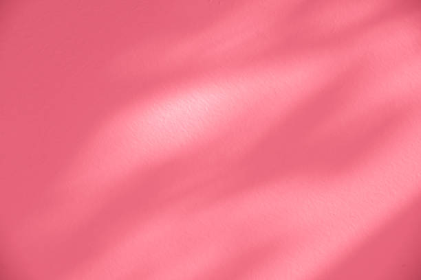 istock Wall interior background, studio, and backdrops show products. with shadow from window color white and pink light. background for text insertion and presentation of product 2199737380