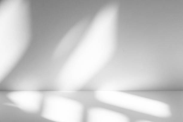 istock Wall interior background, studio and backdrops show products.with shadow from window color white . background for text insertion and presentation product 2199737415