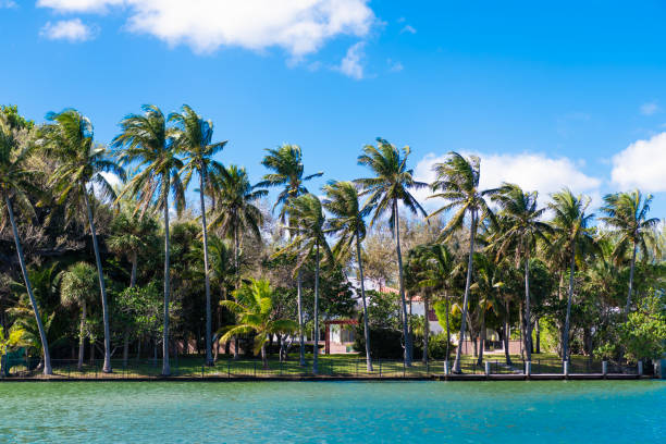Luxury waterfront hotel building. Palm tree park. Summer vacation. Landscape with luxury residential area. Residential waterfront apartment. Waterfront landscape with house. Vacation in summer.