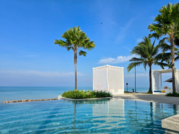 Relaxation unfolds in Thailand, where turquoise waters blend seamlessly with palm trees. at an infinity pool looking out over the ocean
