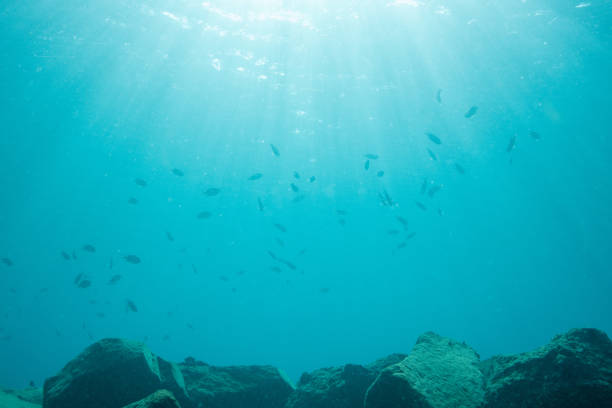 istock Beautiful underwater photos under the sunlight 2199751089
