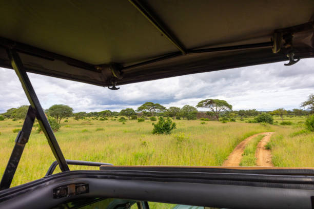 istock Safari Adventure in Tanzania 2199751872