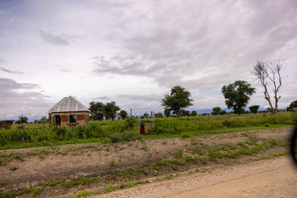 A person stands by a traditional brick house with a thatched roof in a verdant Tanzanian village, exemplifying daily rural life.