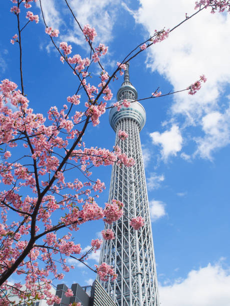 istock Tokyo Skytree and cherry blossoms under blue sky and white clouds 2199754700