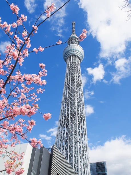 istock Tokyo Skytree and cherry blossoms under blue sky and white clouds 2199754735