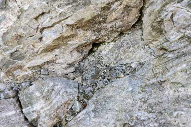 Detailed view of a natural rock surface showcasing intricate textures and weathering. ideal for backgrounds, this stone pattern offers a rustic and organic feel suitable for design projects.