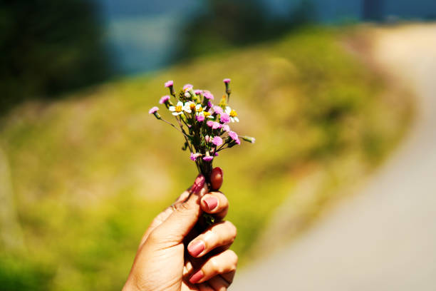 hand holding a bunch of flowers