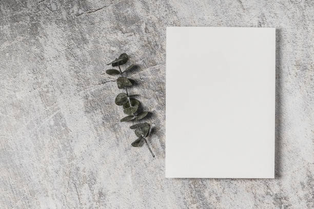 istock Empty card and eucalyptus sprig on concrete background. Wedding invitation, greeting card mockup. 2199762497