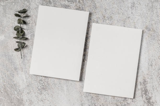 istock Two blank cards and eucalyptus branch on concrete background. Wedding invitation, greeting card mockup. 2199762499