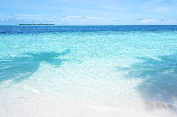 Tropical paradise beach with beautiful turquoise sea