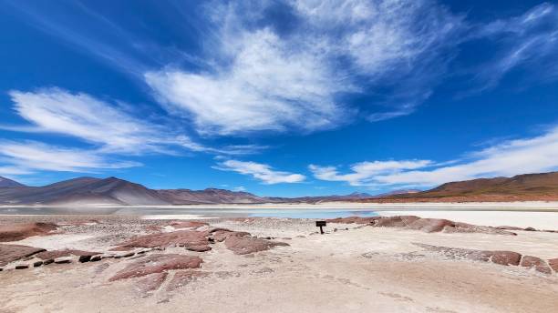 istock Lagoon and red rock formation in salar de atacama with dark mountain range and blue sky in background 2199766064