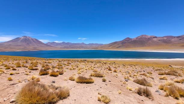 istock Blue lagoon inside salar de atacama with mountain range and blue sky in background 2199767057