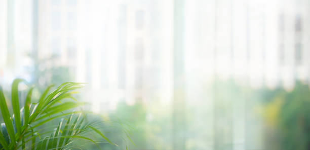 istock Blurred abstract big wall glass with green leaf.environmental background decor 2199771411