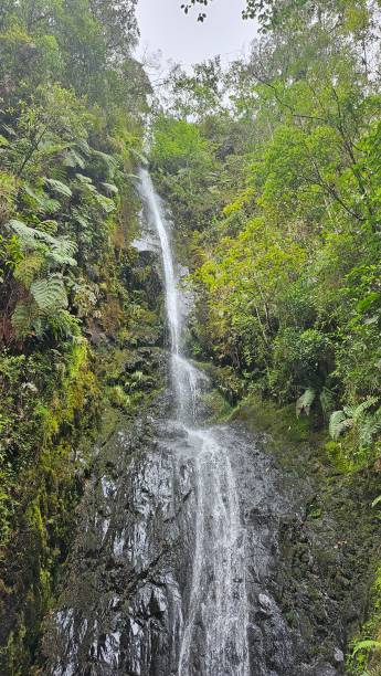 istock Pacchayoq waterfall inside manu national park 2199773459
