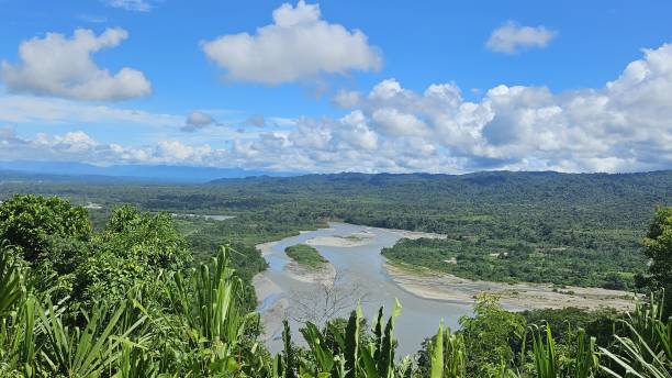 istock aerial view of the amazon basin inside Manu national park 2199773503