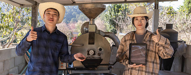 istock Coffee processing. Coffee roasting machine with arabica coffee beans in stainless steel cooling bin. People coffee professional roaster using the roasting machine roast an organic coffee beans. 2199774909