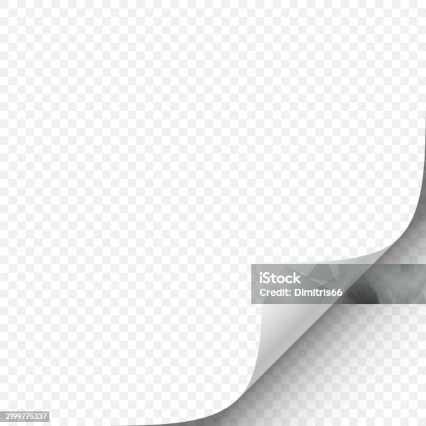 Curle Page Curle Template Stock Illustration - Download Image Now - Page ...