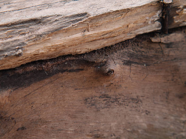 istock wooden close up detail 2199780828
