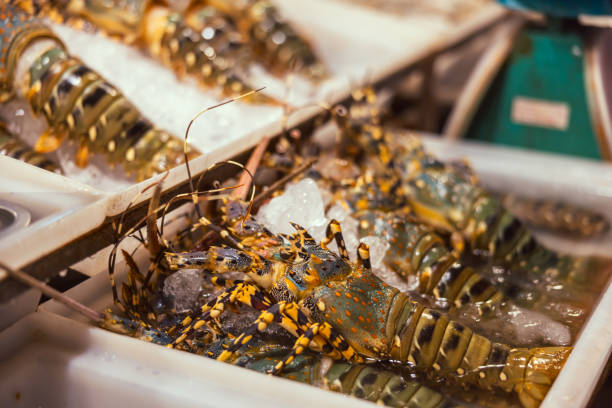 Raw lobsters on fish market stand.