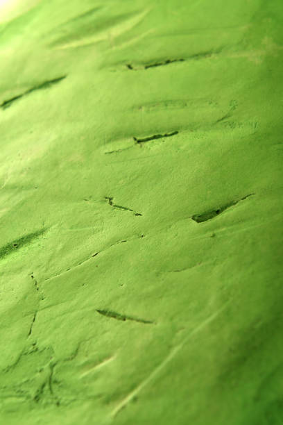 plaster art background in light green color
