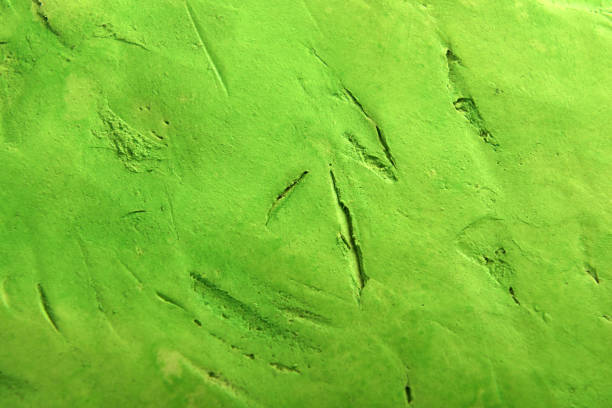plaster art background in light green color
