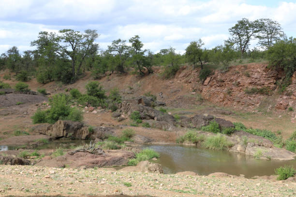 istock Mphongolo River/ Mphongolo River / 2199791690