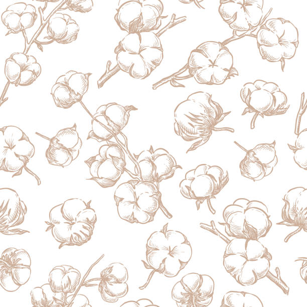 Cotton fluffy flowers seamless pattern. Hand drawn sketch vector plant illustration. Natural floral background. Fabric design, wrapping paper, textile print