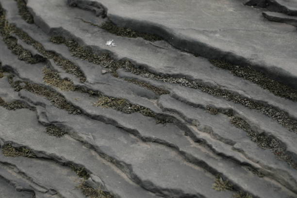 istock Rock Layers, Porcupine Mountains Wilderness State Park, Michigan 2199800456