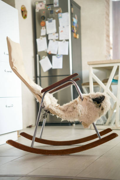 A rocking chair stands on the kitchen floor and creates a cozy interior.