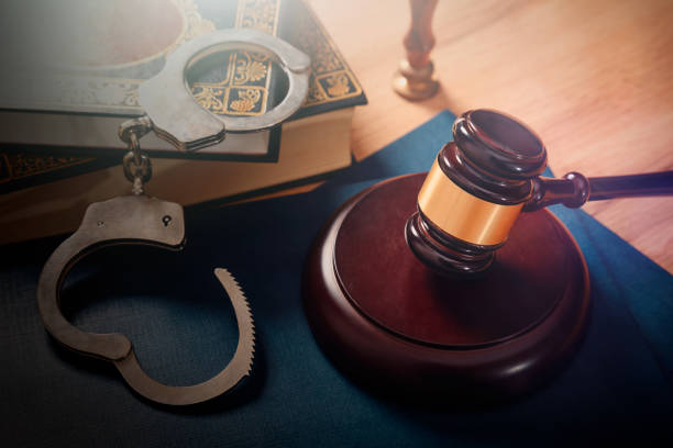 istock Judge gavel and book, law concept 2199804391