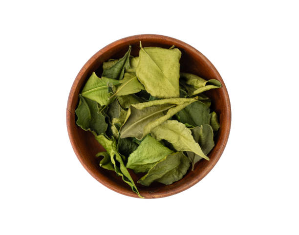 istock Thai lime dried leaves isolated, makrut lime or Citrus hystrix leaf pile, kaffir lime dry sprouts, Asia spices 2199807799