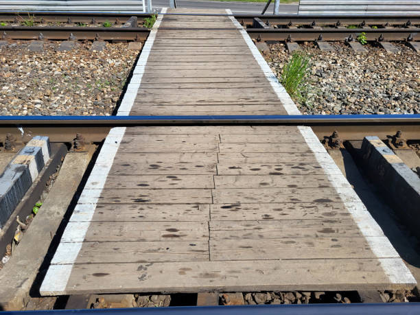 Low-angle view of a railway track stretching into the distance, surrounded by greenery and desho grass along the sides. The image captures perspective, depth, and a calm rural environment.