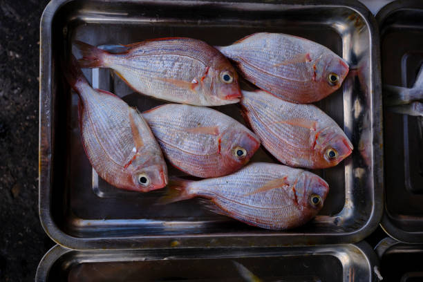 Traditional fish market in Taiwan.
