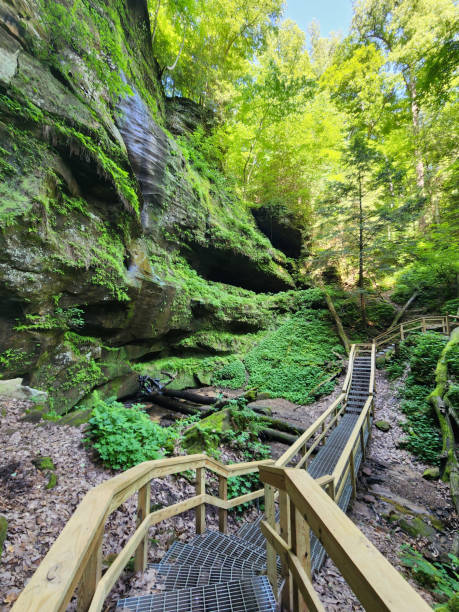 istock Bridge Amidst A Hiking Trail In A Forest 2199834139
