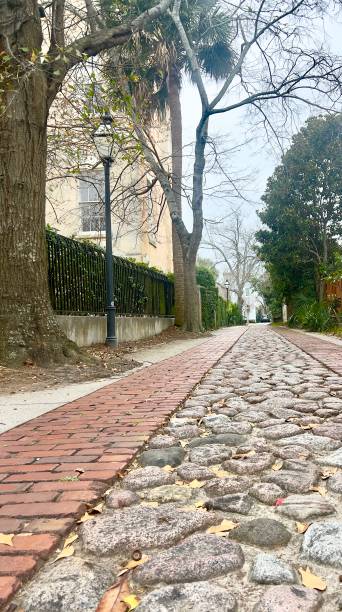 istock Charleston SC Cobblestone Street 2199834184