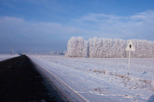 Winter has covered everything with frost except the black asphalt on the road. On the horizon is a car