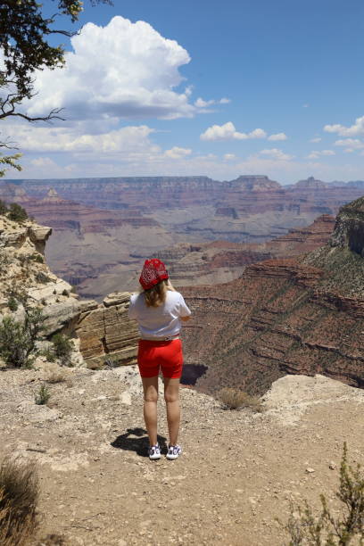 istock Tourist oversee the Grand Canyon 2199840245
