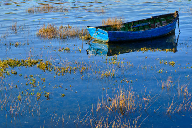 Solitary blue rowboat rests among reeds in calm wetland waters. Colindres, cantabria, spain