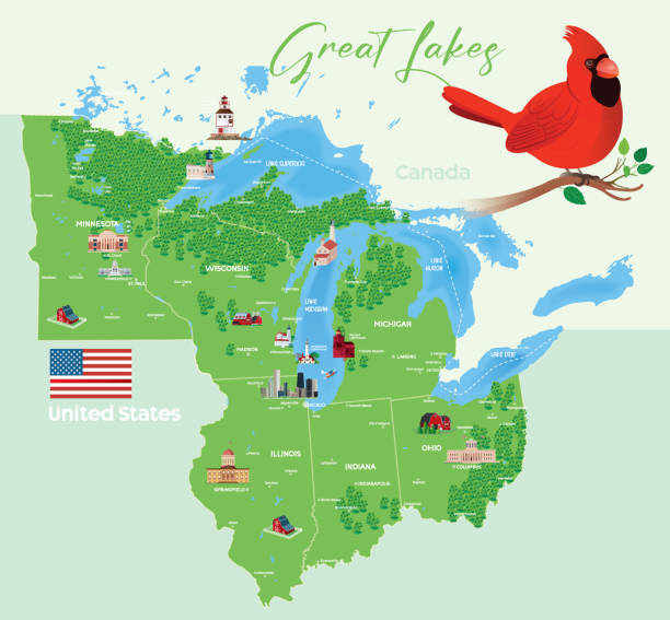 Great Lakes Forest Map and Cardinal Birds Great Lakes Forest Map and Cardinal Birds https://maps.lib.utexas.edu/maps/united_states/united_states_wall_2002.jpg evansville indiana stock illustrations