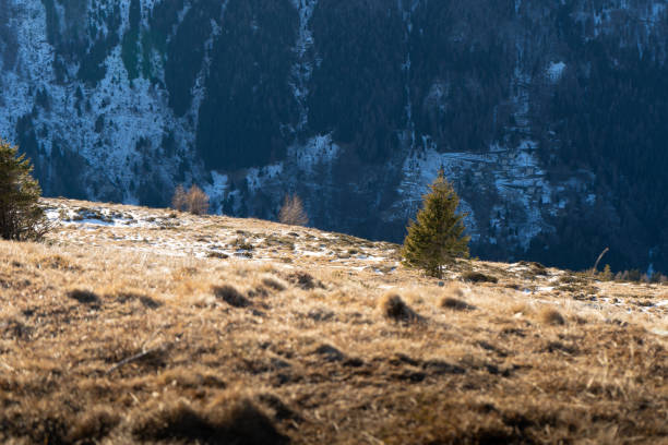 winter trail in the mountains, Italy