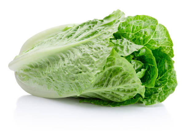 istock Fresh green romaine Lettuce isolated on white background 2199858485