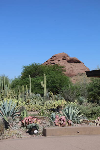 istock Eco tourism visiting Arizona 2199867187