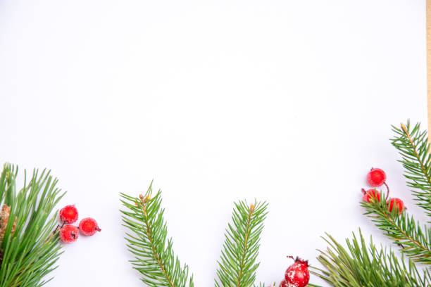 Holiday-themed blank space with pine branches and red berries on a white background for festive decorations and greeting cards