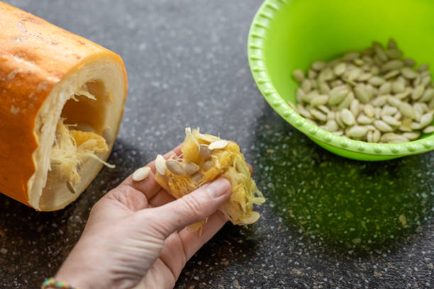 istock Harvesting squash seeds. A woman uses her hand to pull out the pulp with seeds from the core of a squash 2199877287