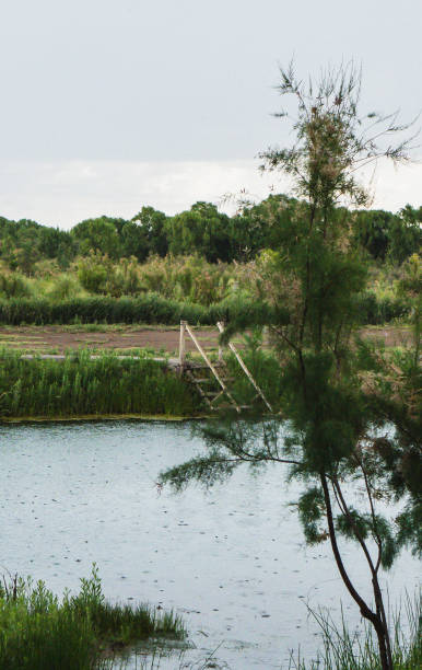 istock A tranquil pond reflects a cloudy sky, bordered by lush greenery. A thatched-roof structure stands to the right, with a small bridge spanning the water. The scene conveys a sense of peace and natural beauty. 2199887934