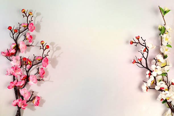 istock Still life with beautiful blooming sakura branches, Spring abstract flower arrangement, banner for screen with space for text. Greeting card for mother's day, women's day, happy birthday 2199891285