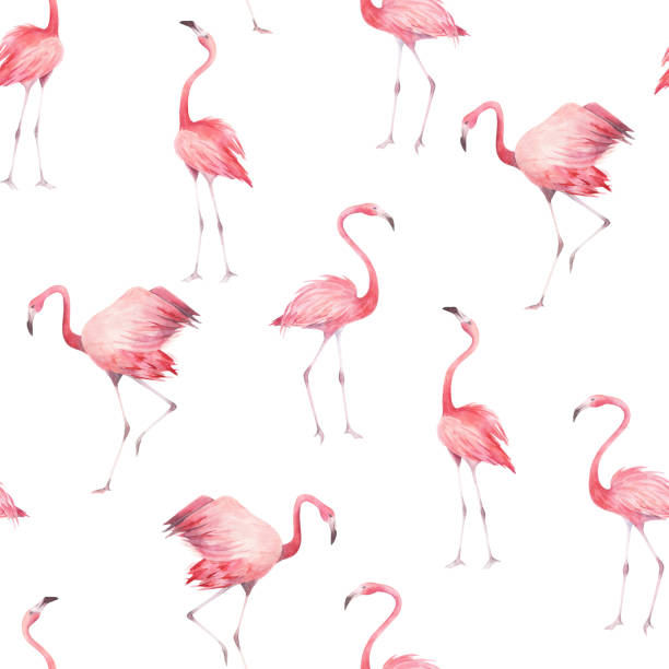 istock Watercolor seamless pattern with exotic flamingo on white background. Summer decoration print for wrapping, wallpaper, fabric. Hand drawn illustration 2199892201