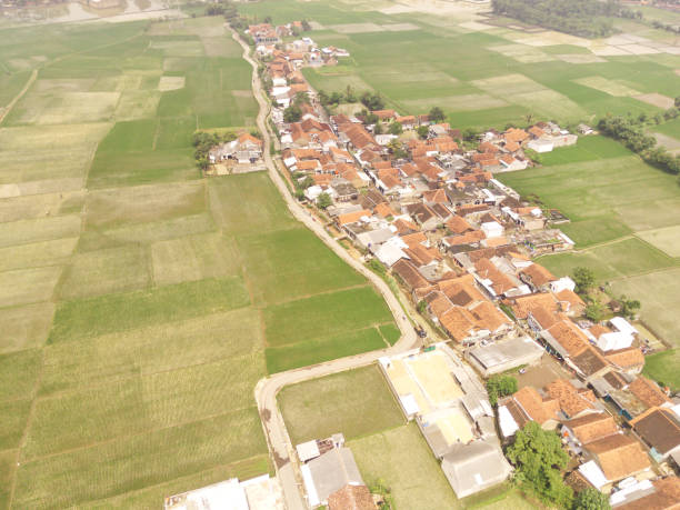 istock Remote village surrounded by rice field patches 2199894794