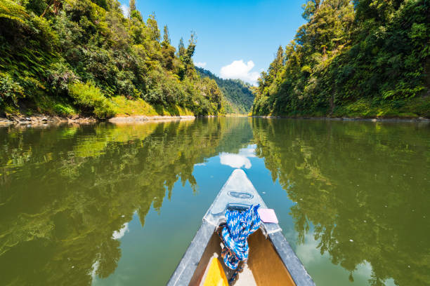 Whanganui Journey , Serene Mirror-like Reflections on the Calm river water, A tranquil canoeing through lush cliffs and native forest.