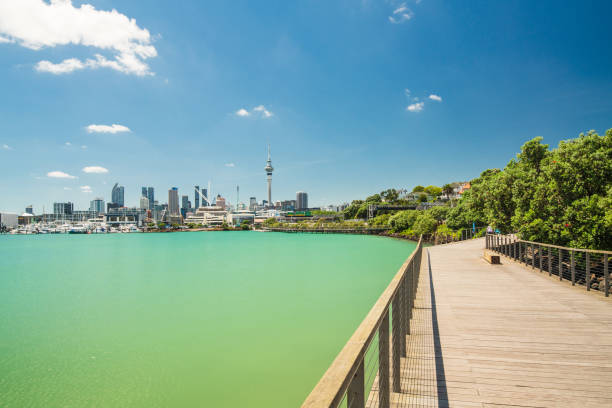 Beautiful iconic view of tourist's harbor bridge with Auckland city sky tower in background, city building exteriors.